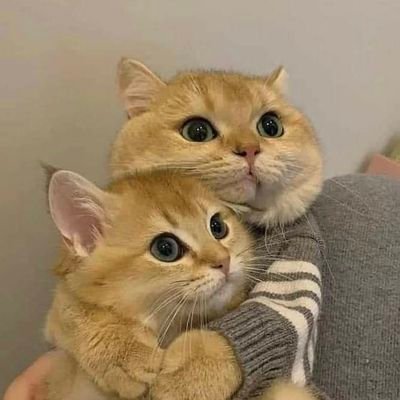 blankspaceroom's profile picture. not your bussiness