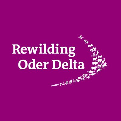 ODER DELTA - WILD HUB ALONG GREEN CROSSROADS – EIGHTH REWILDING EUROPE AREA