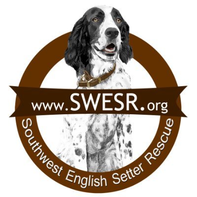 Southwest English Setter Rescue (SWESR) is dedicated to the rescue and rehoming of displaced English Setters.🐶🐶