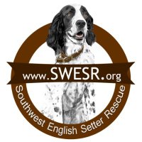 SWESR(@SWESRDogs) 's Twitter Profile Photo