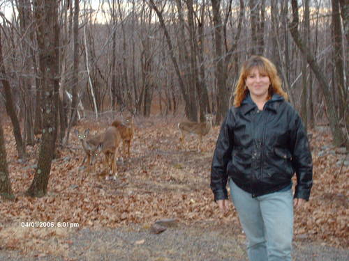 Norris1Renee's profile picture. 