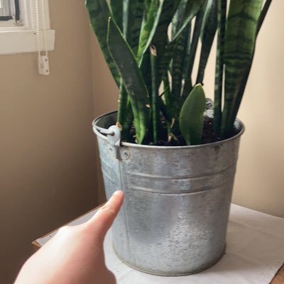 Bellebluebloom's profile picture. Comment te raconter? On ne prend pas rendez-vous avec le destin.   -Mariama Bâ (Une si longue lettre)