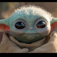 MajorVictory1 (@majorvictory1) 's Twitter Profile