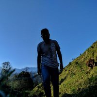 Luis (@elsellamaluis_) 's Twitter Profile