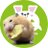 ぬーさまLIFE！ch【ハムスター】さんのプロフィール画像