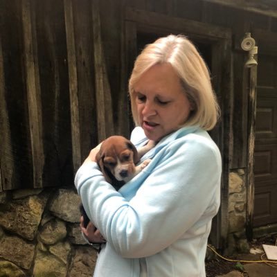 susancochrane1's profile picture. 