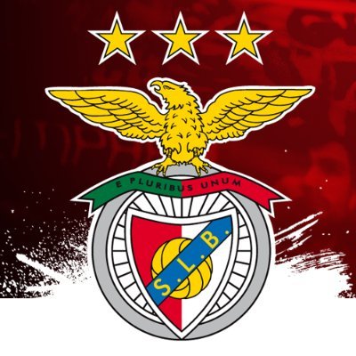 slbfutsalfem Profile Picture