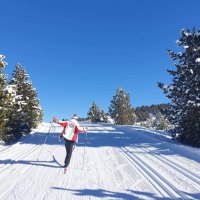 Victor Roussel (@victor_roussel) 's Twitter Profile