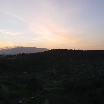 PauloPi88595198's profile picture. Fixolas