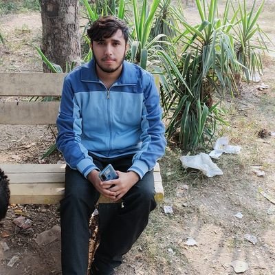 AliHamz99814646's profile picture. 