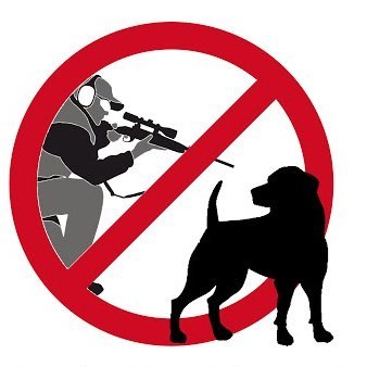 We want to build a dog shelter with your donation(help)
So None of the dogs to be killed