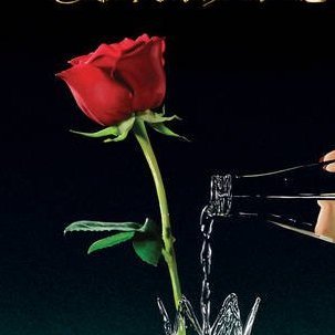 zessca_'s profile picture. I've got the penny, you've got the phone, haven't ya?