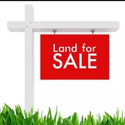 Plots4SaleLSK's profile picture. Value for money is investing in assets, Investing in an asset is investing in YOU. (Property Solicitor for Palmridge Properties Ltd) #Plots #Lusaka #Zambia