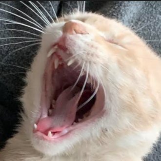 drummkopf's profile picture. Mail-order bookseller at https://t.co/PsY7iDvGDl