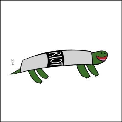 turtledude444's profile picture. I'm a turtle, dude.