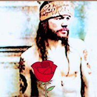 Sarahrose🌹🌹🌹🌹 (@sarahro17748299) 's Twitter Profile