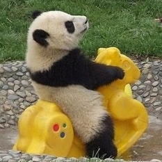 Dane131's profile picture. 