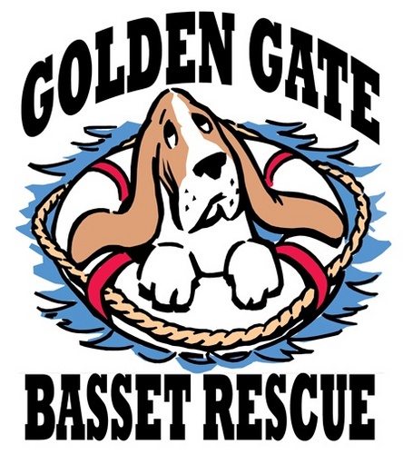 Saving basset hounds in Northern California!