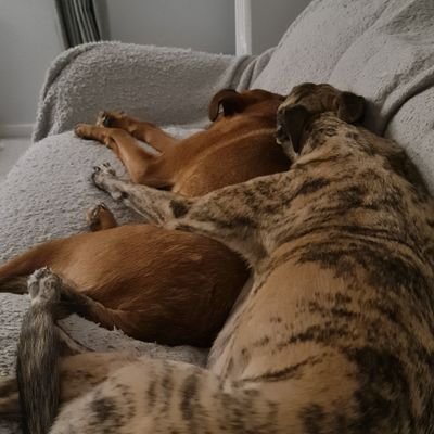 MattBro90's profile picture. 