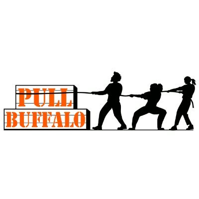 PULL Buffalo is a site dedicated to exposing the toxicity of PUSH Buffalo and the NPIC. // Talk your shit. We don't give one shit unless you walk it. //