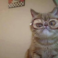 dizidizi_yorumcu (@dizidiziyorumcu) Twitter profile photo