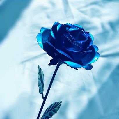 eun_sun1310's profile picture. Me encanta el anime, Kpop, editar y apoyar a Infinite, Súper Junior y más.