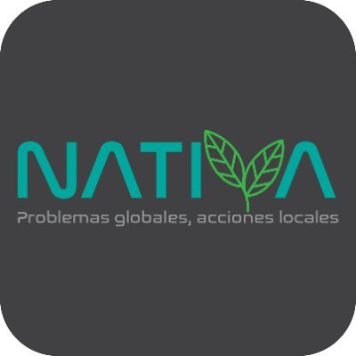 Problemas globales, acciones locales