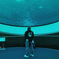 Omar (@dadedeep) 's Twitter Profile