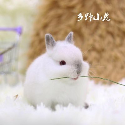 linkai06736806's profile picture. 