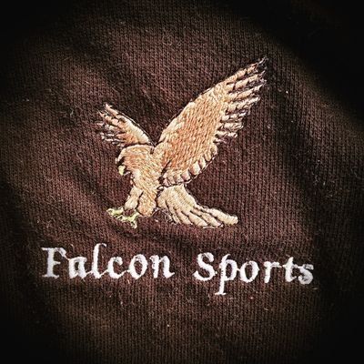 @falconsnest65