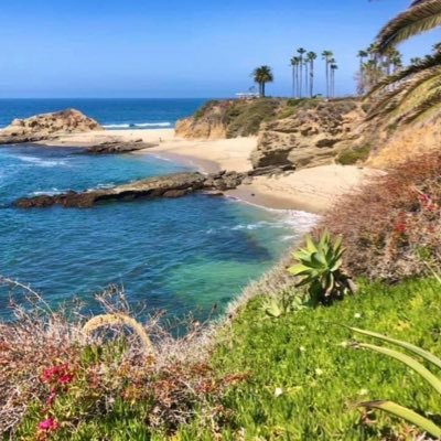 GregHaralson1's profile picture. 