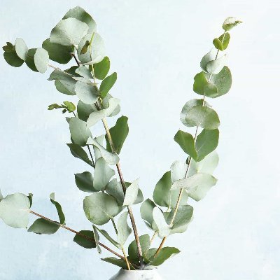 ljnbyoo558's profile picture. love  love  love  love   Y