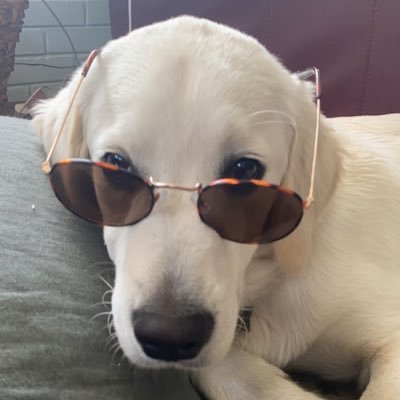 cole17world Profile Picture