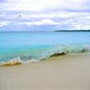 Lori Sand - @SandLori - Twitter