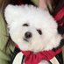 doven (@doven09313155) Twitter profile photo doven (@doven09313155) Twitter profile photo