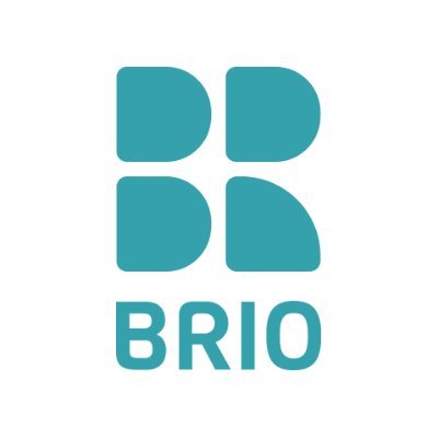 BRIO XRさんのプロフィール画像