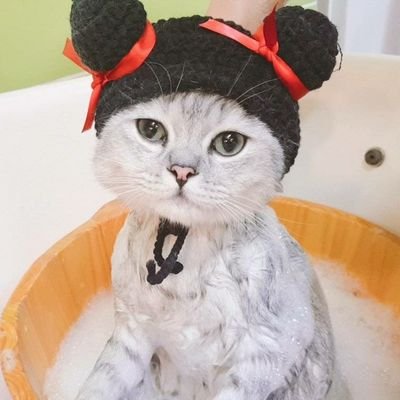 อี๊ดดดเนื้อแน่นBoy_MNB🐯🐱””さんのプロフィール画像