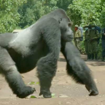 MrFr1ends's profile picture. 