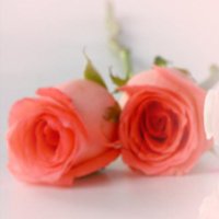 Dana Bradford ❤️ Memecoin (@danabra33182042) 's Twitter Profile