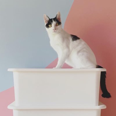 takahashitakash's profile picture. 主にホームページ作って生きてます。貨幣だけに頼らないコミュニケーションを通じた価値の交換を生業の一部に組み込み中。愛知出身→東京10年→京都5年を経て福岡にある15世帯の集落に空き家を月5千円で借り、改装して生活中。様々なテーマを複合的に社会実験中。メインテーマは現代的な田舎暮らしの提唱。