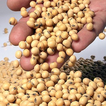 Bao43325775's profile picture. 