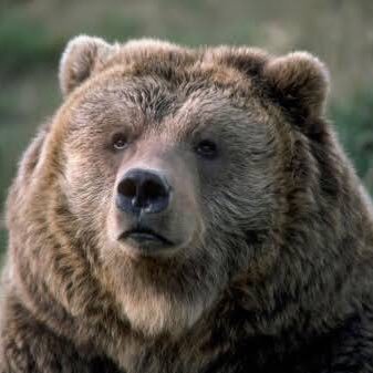 ohiSaMAP's profile picture. 夜空と言ったらムコウ