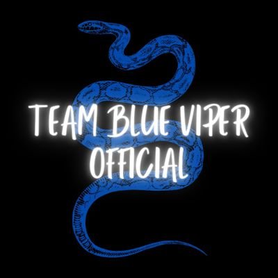TeamBlueViperOf Profile Picture