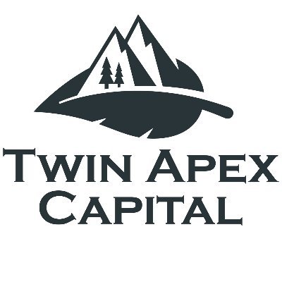 Twin Apex Capital is a venture capital firm that makes early strategic investments in blockchain projects set to disrupt the blockchain sphere!