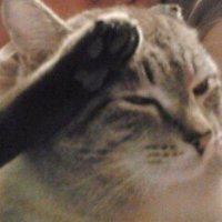 fiveoqloq (@fiveoqloq) Twitter profile photo