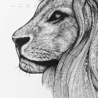 rity29's profile picture. 