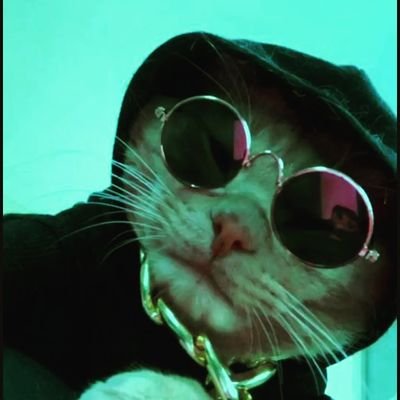 Shiv13704595's profile picture. NOCTURNAL
.
.
🦇