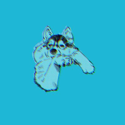 Riku/りくさんのプロフィール画像