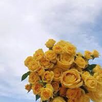 po00rr's profile picture. 