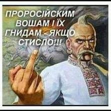 81Cs5TaknvOwl1i's profile picture. 